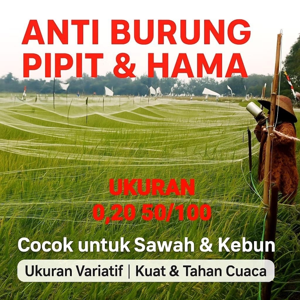 Jaring Burung Sawah / Jaring Emprit / Jaring Padi 0,20 50/100 YOKO