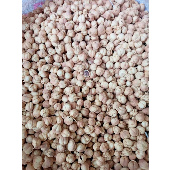 Kapulaga Jawa 100gr / Kapulaga Lokal /Kapol super Putih dan kering