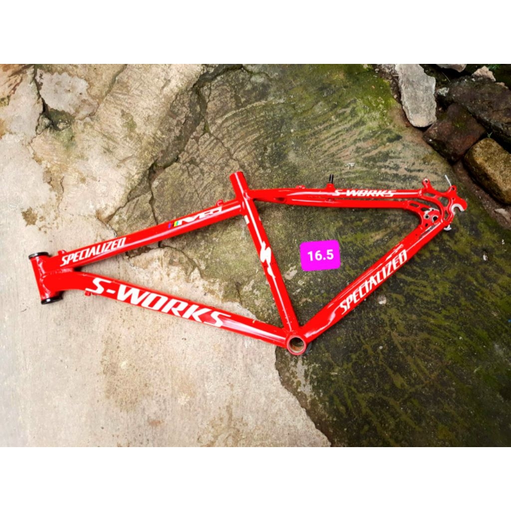 Frame Specialized S-Works