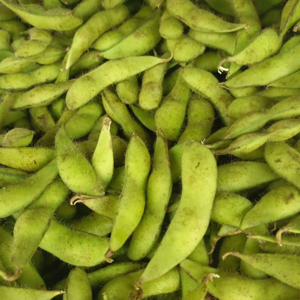 Edamame Kedelai jepang 1kg Mentah segar