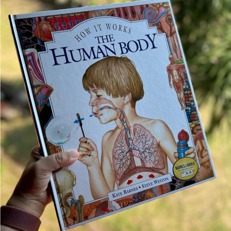 How It Works: The Human Body Kate Barnes Steve Weston (HC) Buku Ilmu Pengetahuan Anak Bahasa Inggris