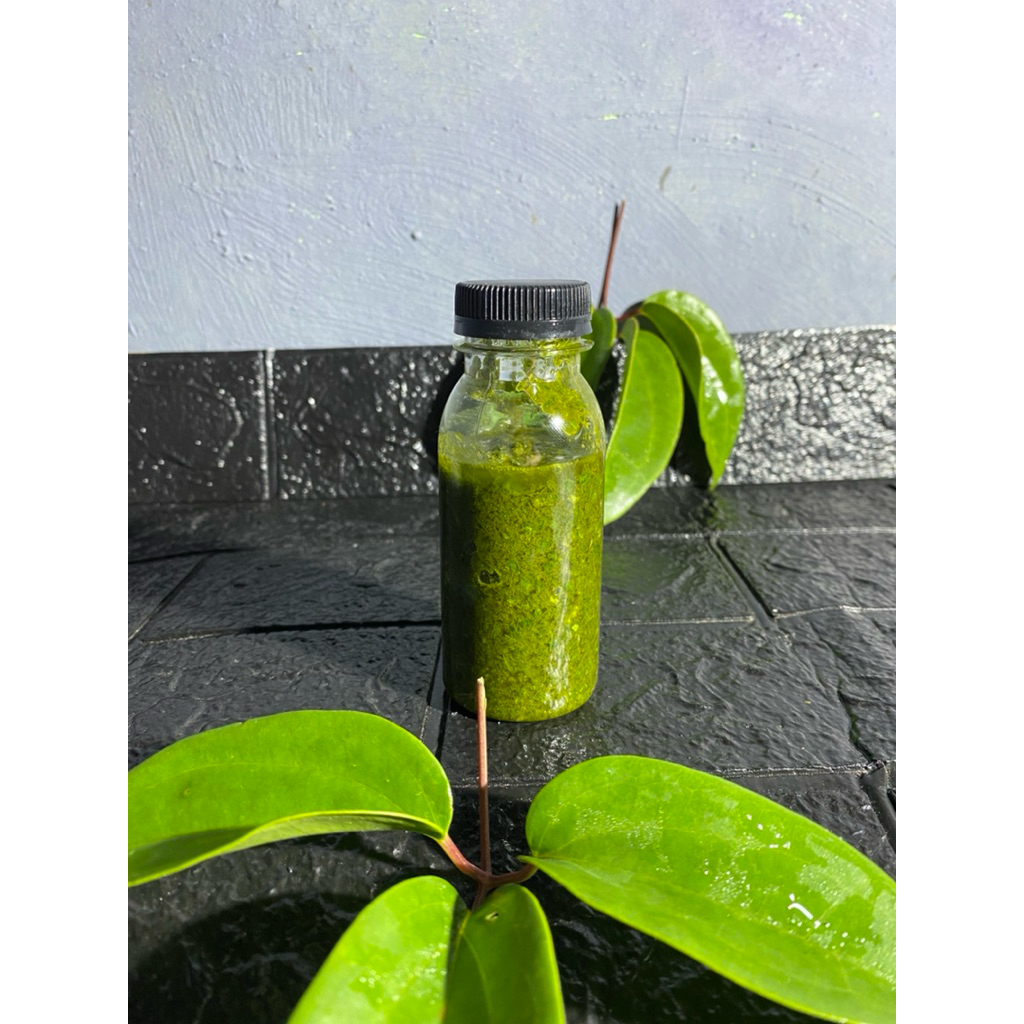 daun bungkus 3 jari papua asli papua shop