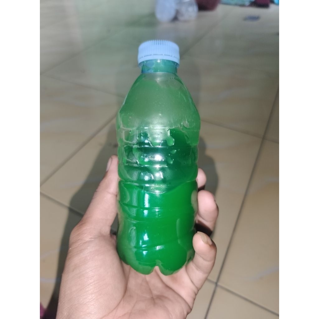 Essen Lele Aroma kweni Daging || Essence Ikan Lele