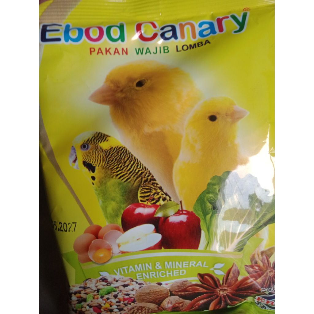 EBOD KENARI,PAKAN KENARI GACOR