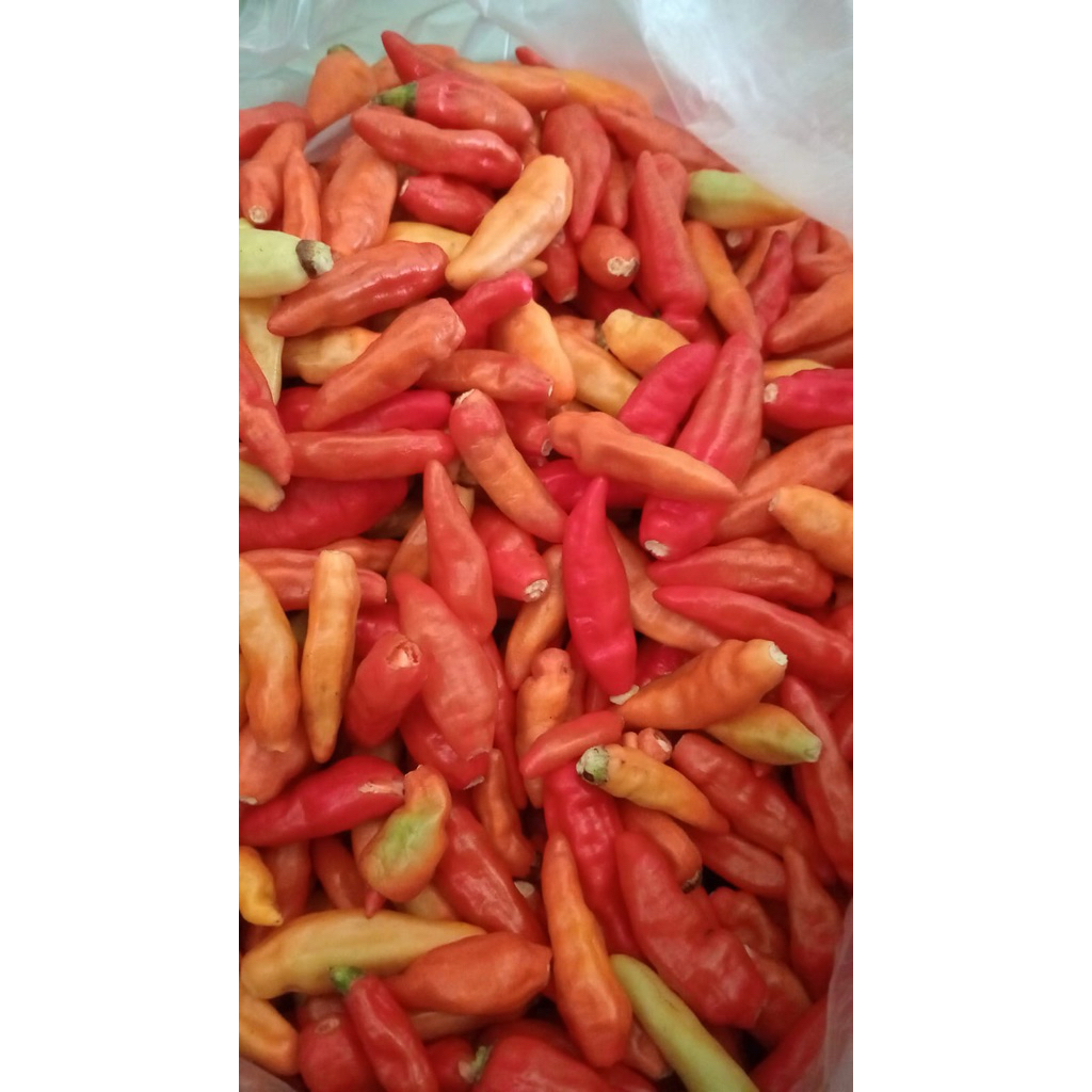 Cabe Rawit Setan 1kg