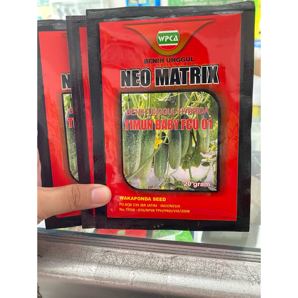 timun BABY neomatrix hybrida buah berwarna hijau tidak menguning