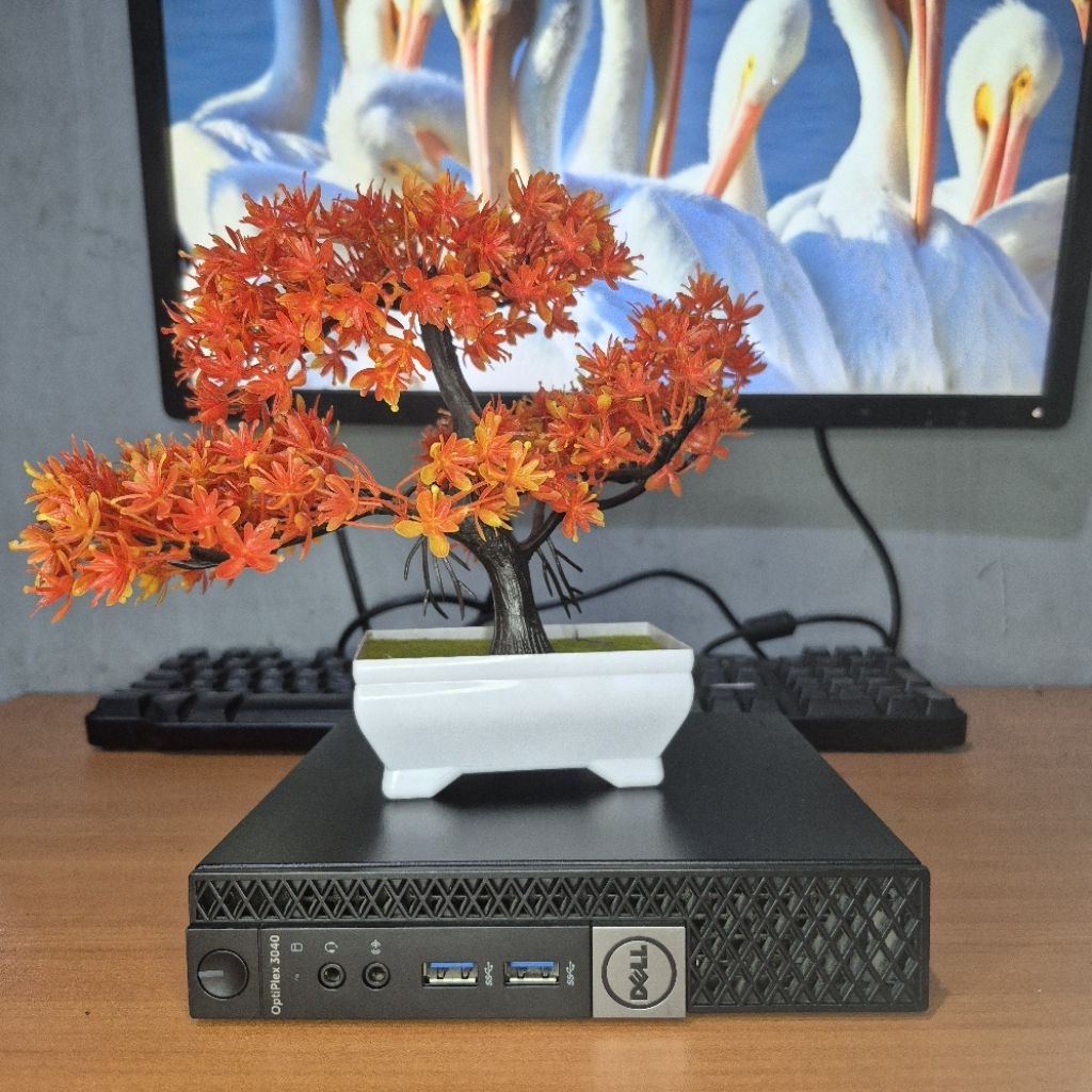 MINI PC DELL OPTIPLEX 3040 CORE I3 6100 RAM 16 GB SSD 256 GB
