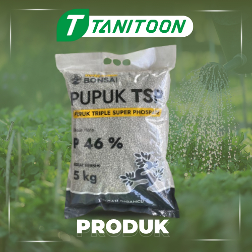 TSP P:46% SUPER BONSAI 5KG
