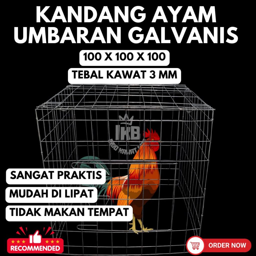 Kandang Ayam Umbaran Galvanis Ekstra Jumbo | Bisa Dilipat | Best Seller