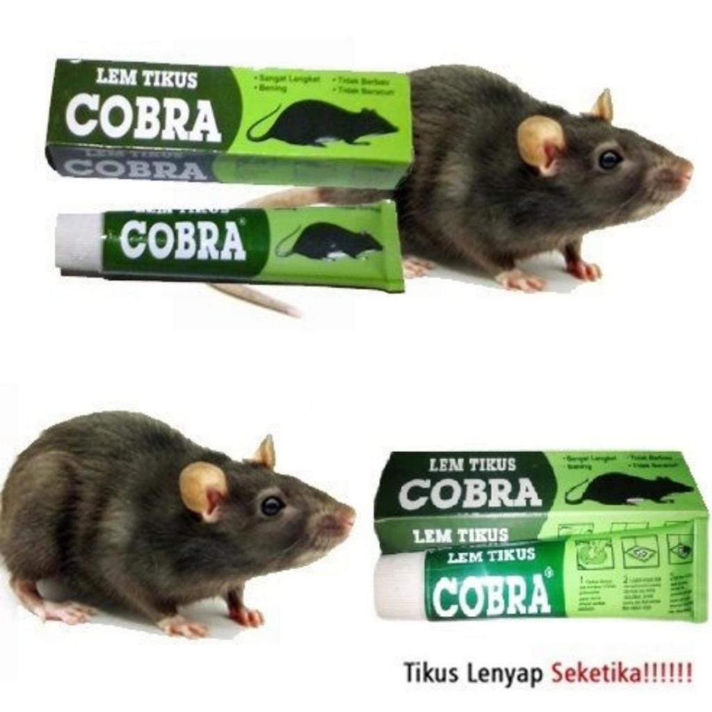 LEM TIKUS COBRA/LEM TIKUS COBRA SUPER LENGKET MODEL TUBE / LEM COBRA