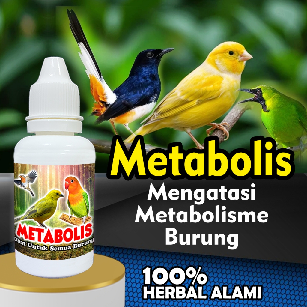 [COD] METABOLIS VITAMIN BURUNG OBAT BURUNG LOVEBIRD MURAI BATU PLECI Suplemen Metabolisme Burung