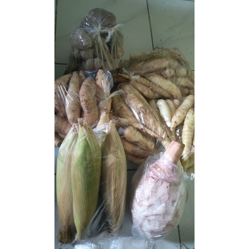 Umbi Garut/kerut/irut/wirut