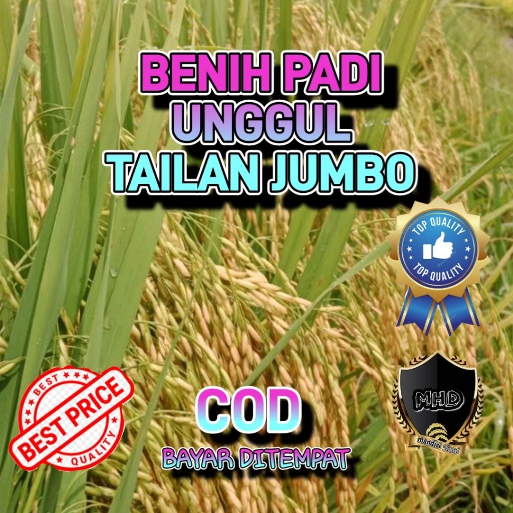 BENIH PADI UNGGUL THAILAND JUMBO 5 kg PREMIUM Benih padi Thailand Jumbo  kemasan 5 kg