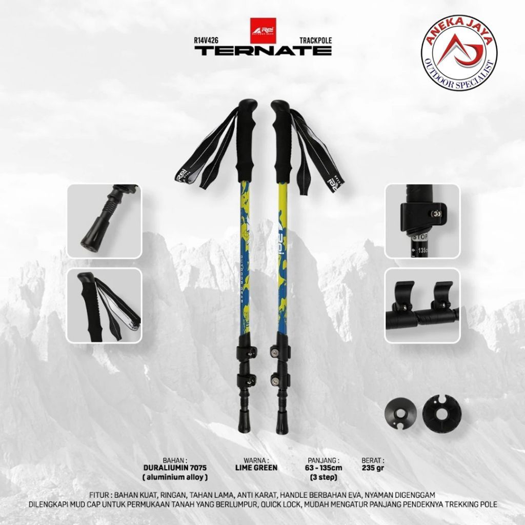 TREKKING POLE REI TERNATE