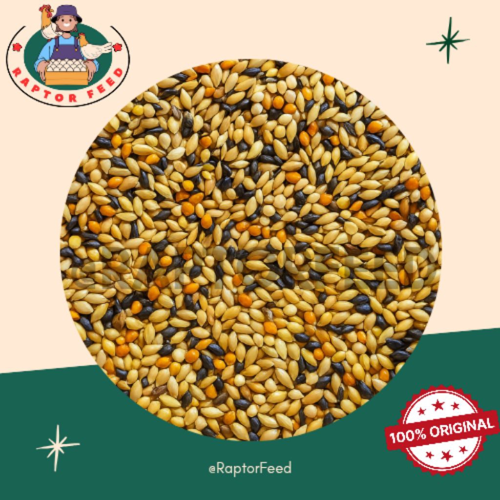 Kenari Mix Campuran Kenari Seed, Milet Merah, dan Sawi 500g– Pakan Burung Kenari dan Lovebird