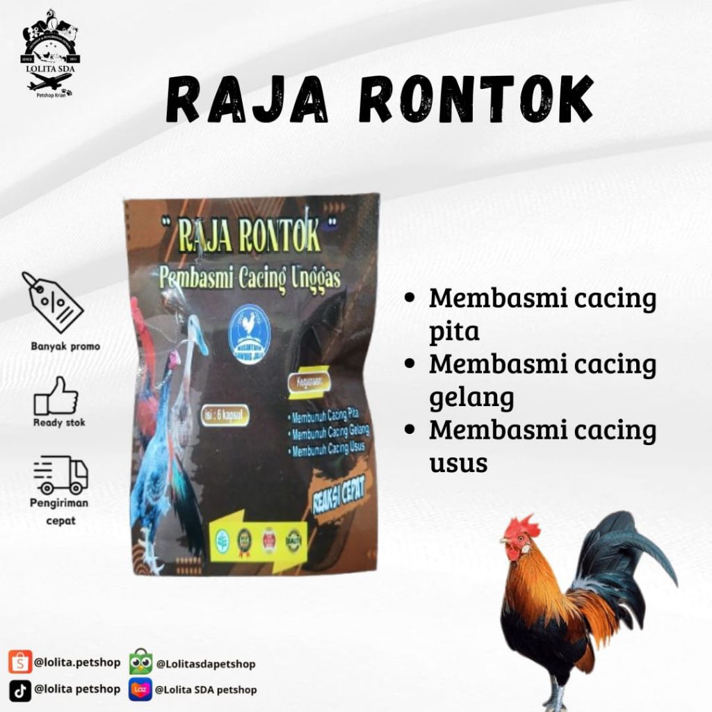 OBAT CACING AYAM RAJA RONTOK EFEKTIF MEMBUNUH SEMUA JENIS CACING AYAM