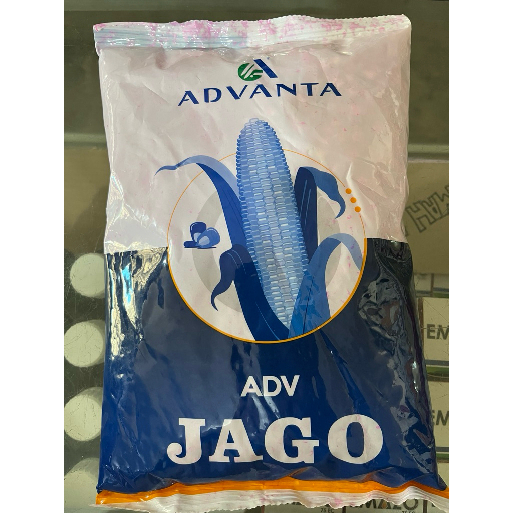 Benih Bibit Jagung Jago Kemasan 1 kg