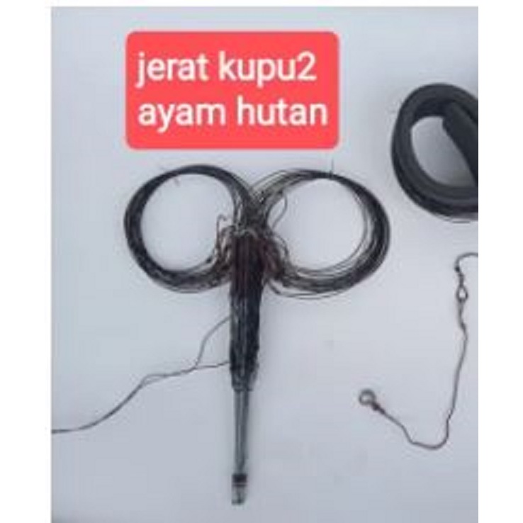 20 LOBANG JERAT AYAM HUTAN JARING AYAM HUTAN RACIK PERANGKAP AYAM HUTAN 10 TIANG MODEL KUPU2