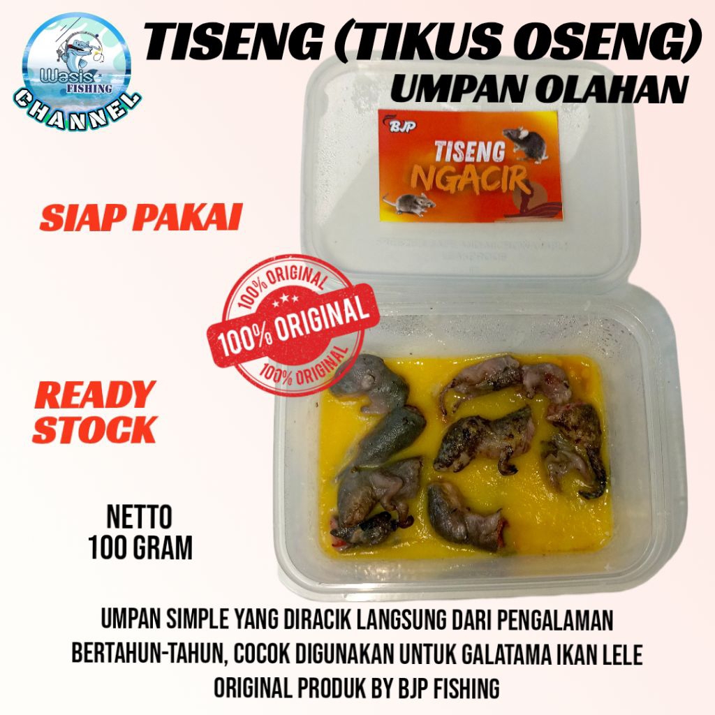 UMPAN TISENG NGACIR TIKUS OSENG By BJP Fishing