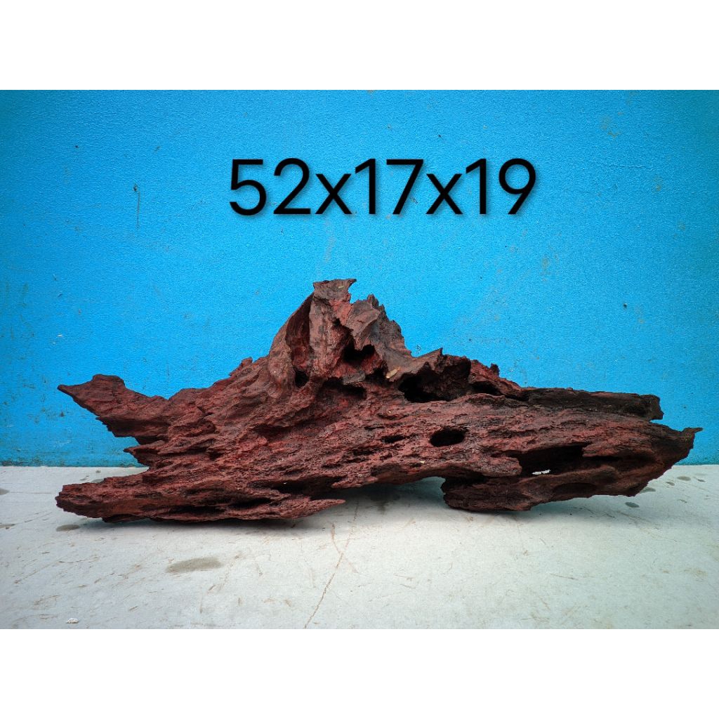 kayu rentek jumbo aquascape/Predator/akuarium