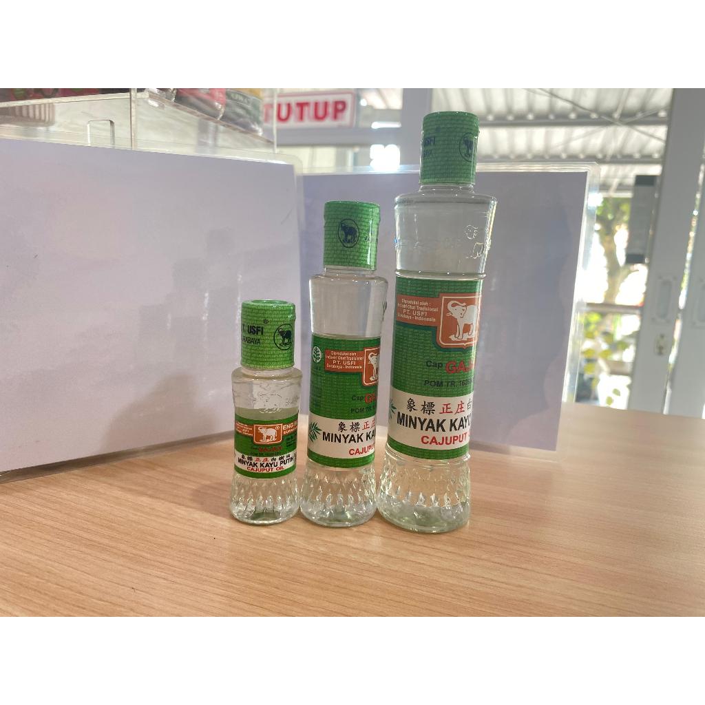 Gajah Minyak Kayu Putih