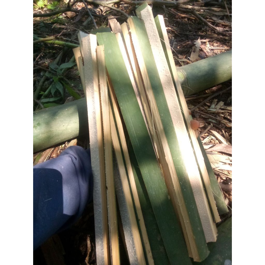Bambu bilah | Bambu kandang ternak | bambu bilah rapi | bambu bilah berbagai ukuran
