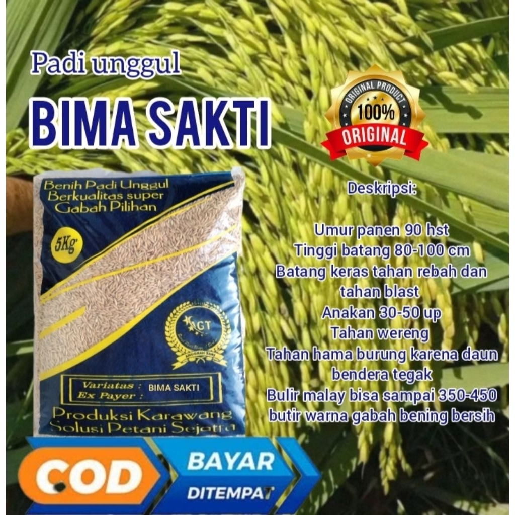 Benih padi BIMA SAKTI kemasan 5kg