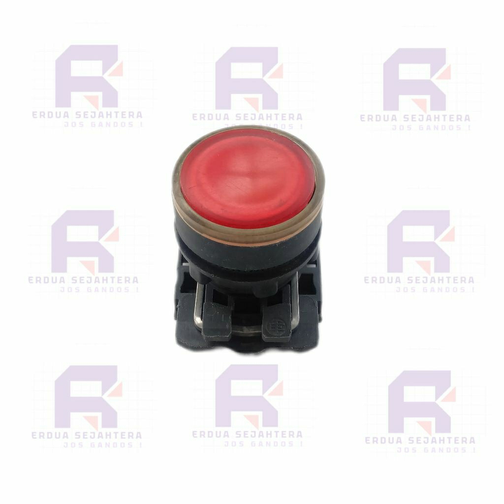 SCHNEIDER PUSH BUTTON LAMP