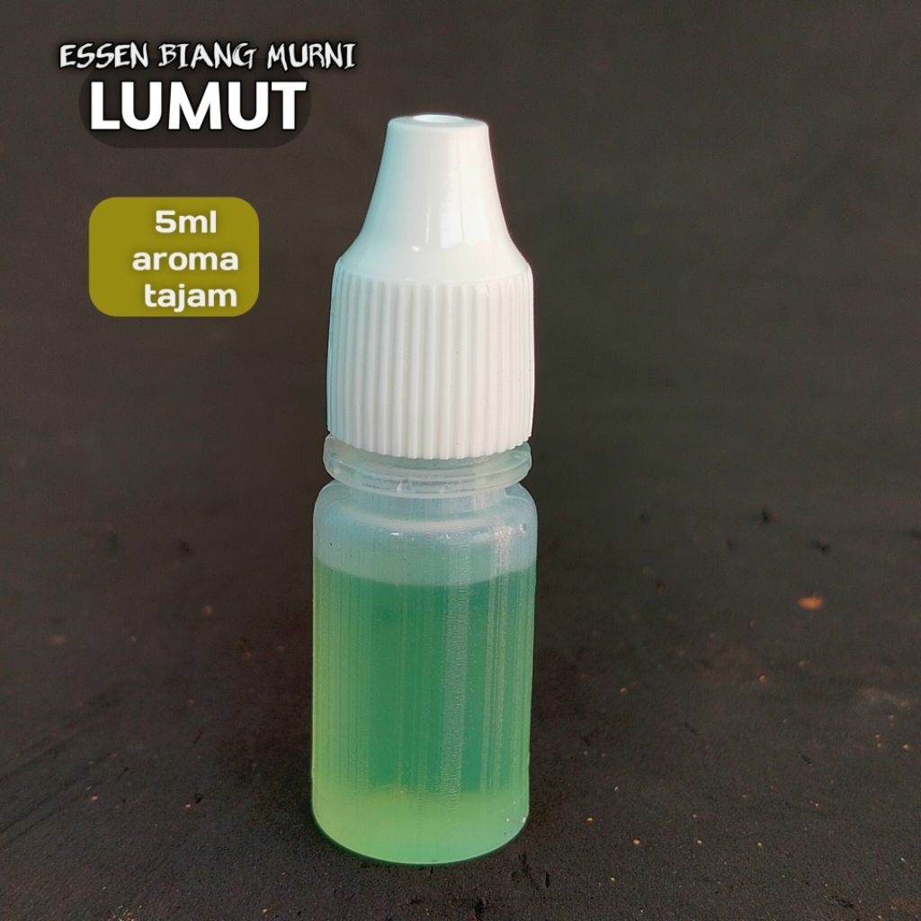 Essen Lumut biang murni Termurah