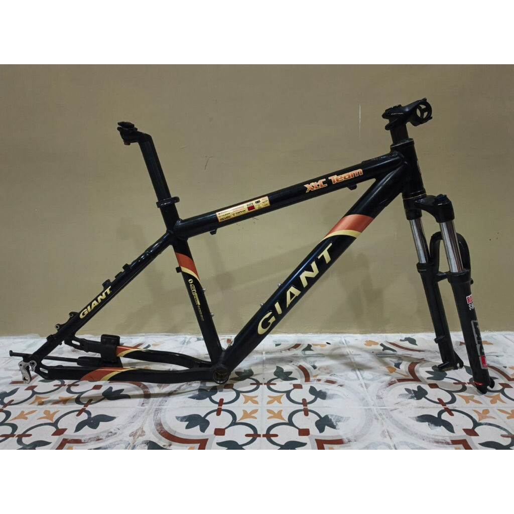 Frame only Giant XTC Team