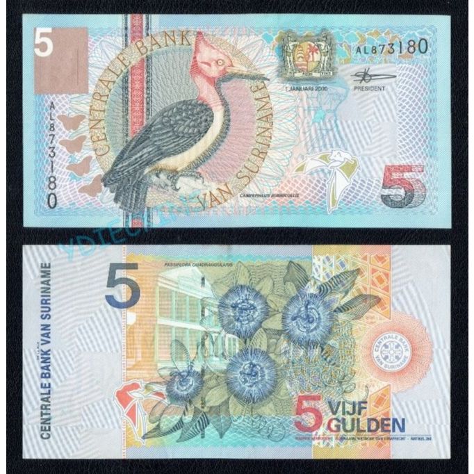 Uang Asing Suriname Seri Burung 5 Gulden Tahun 2000