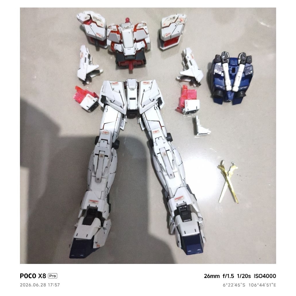 junk rg unicorn