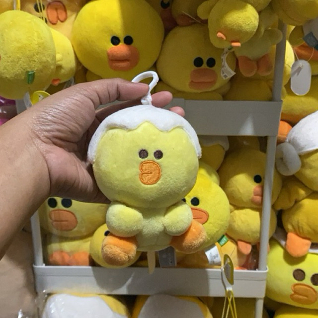 Ganci Sally Line Cangkang