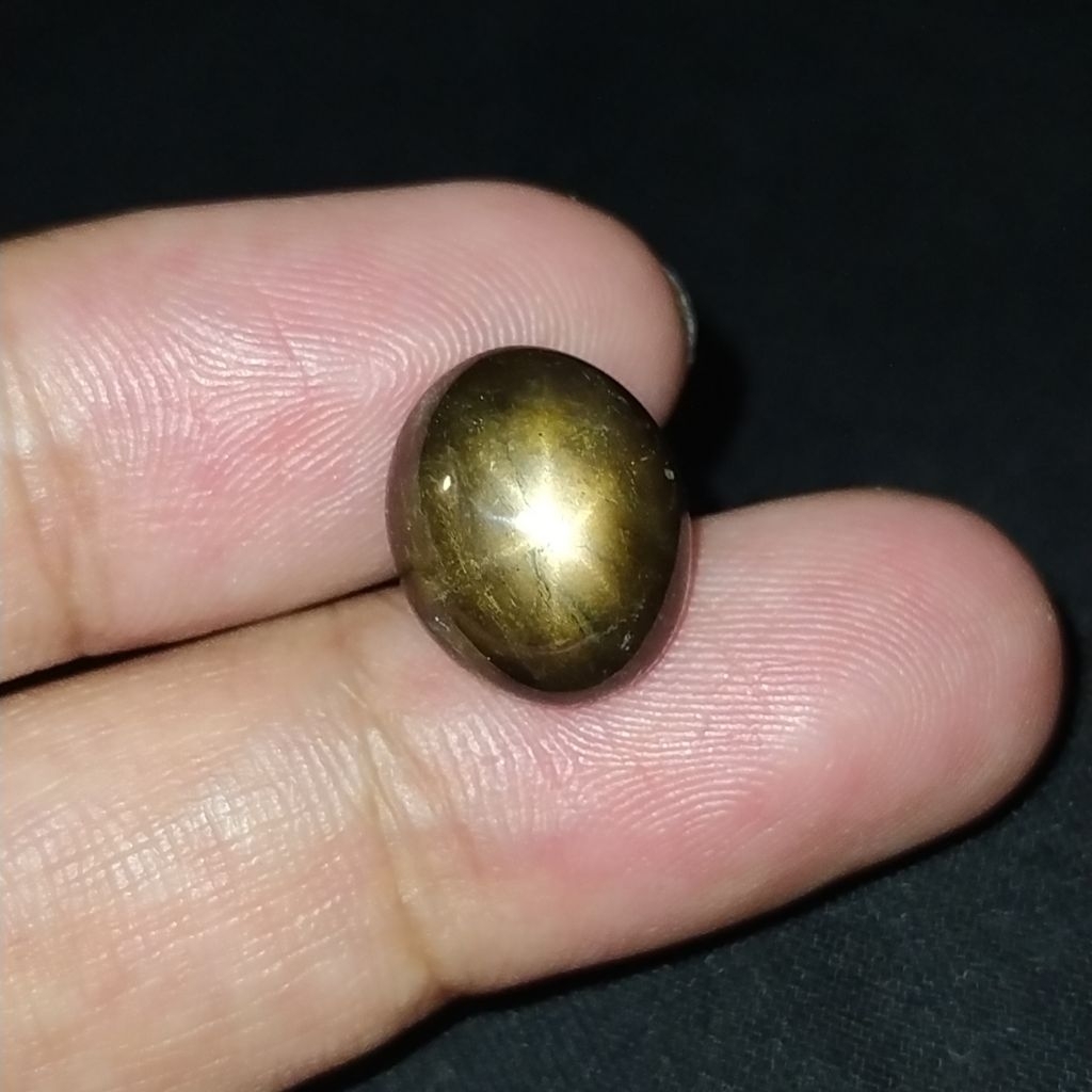 Natural black star sapphire // bangsing kresna wulung // black sapphire serat golden // safir hitam 