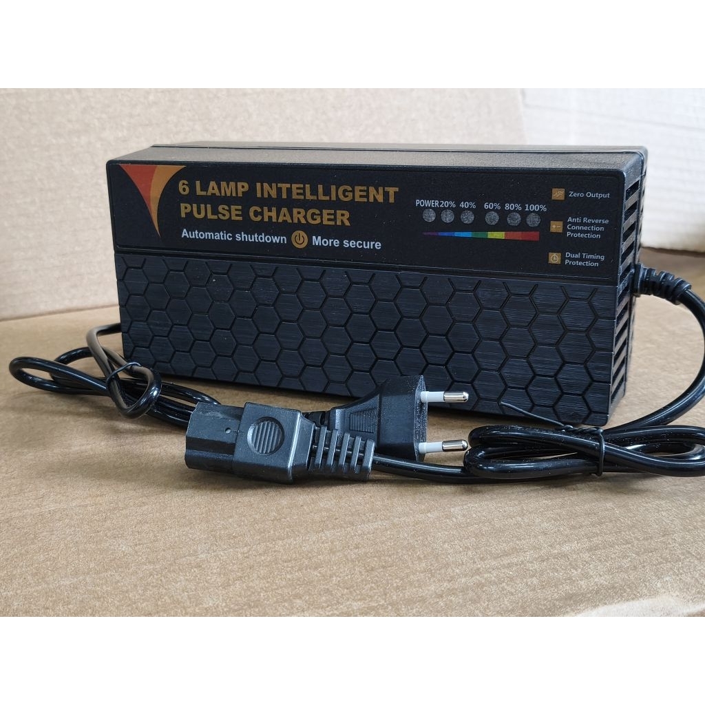 charger SLA 48v 50 ah