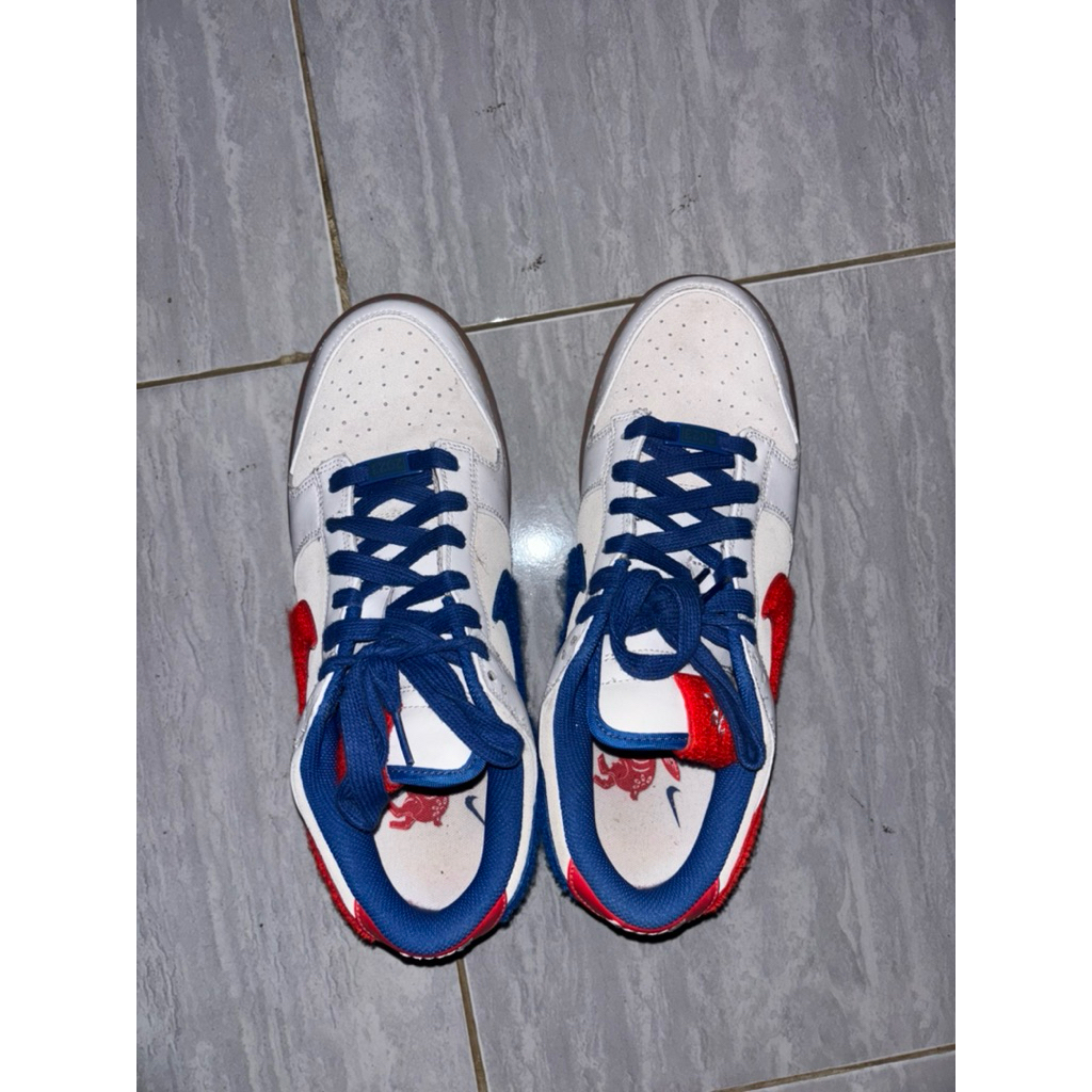Nike dunk low x rabbit