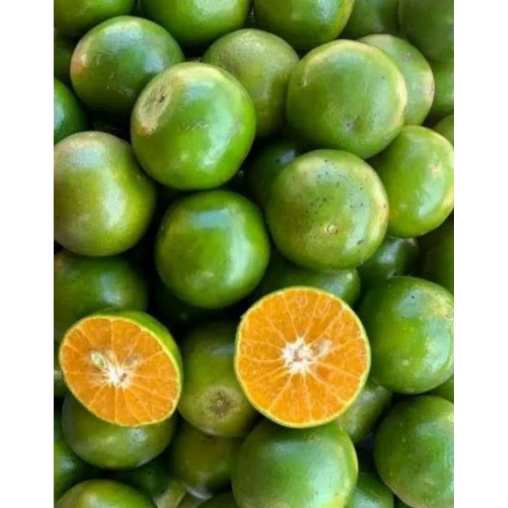Jeruk peras 1kg jeruk peras segar jeruk peras buah segar bandung