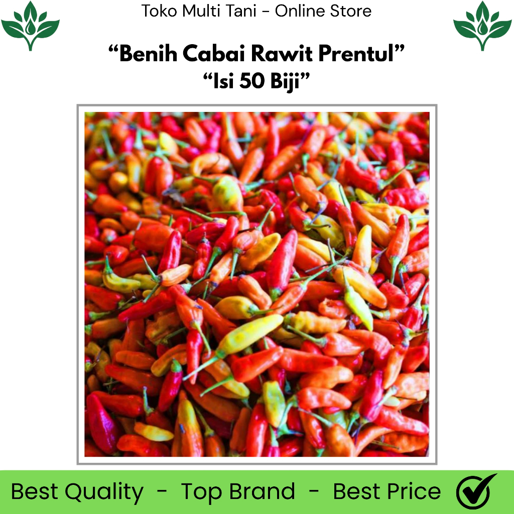 Cabai Rawit Prentul Isi 50 Biji - Cabai Rawit Prentul - Cabai Rawit Pedas - Cabai Rawit Unggul - Ben