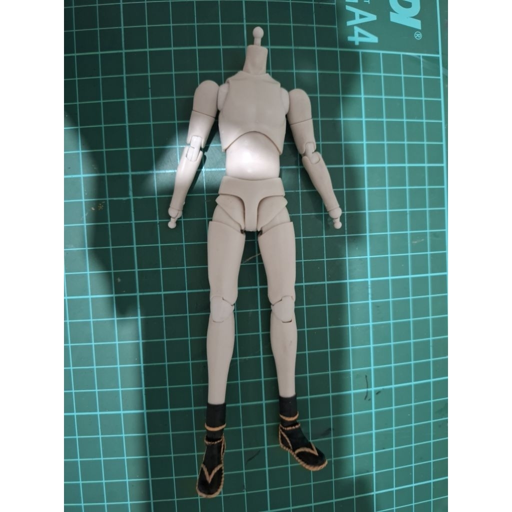 Dasin body kurosaki ichigo white