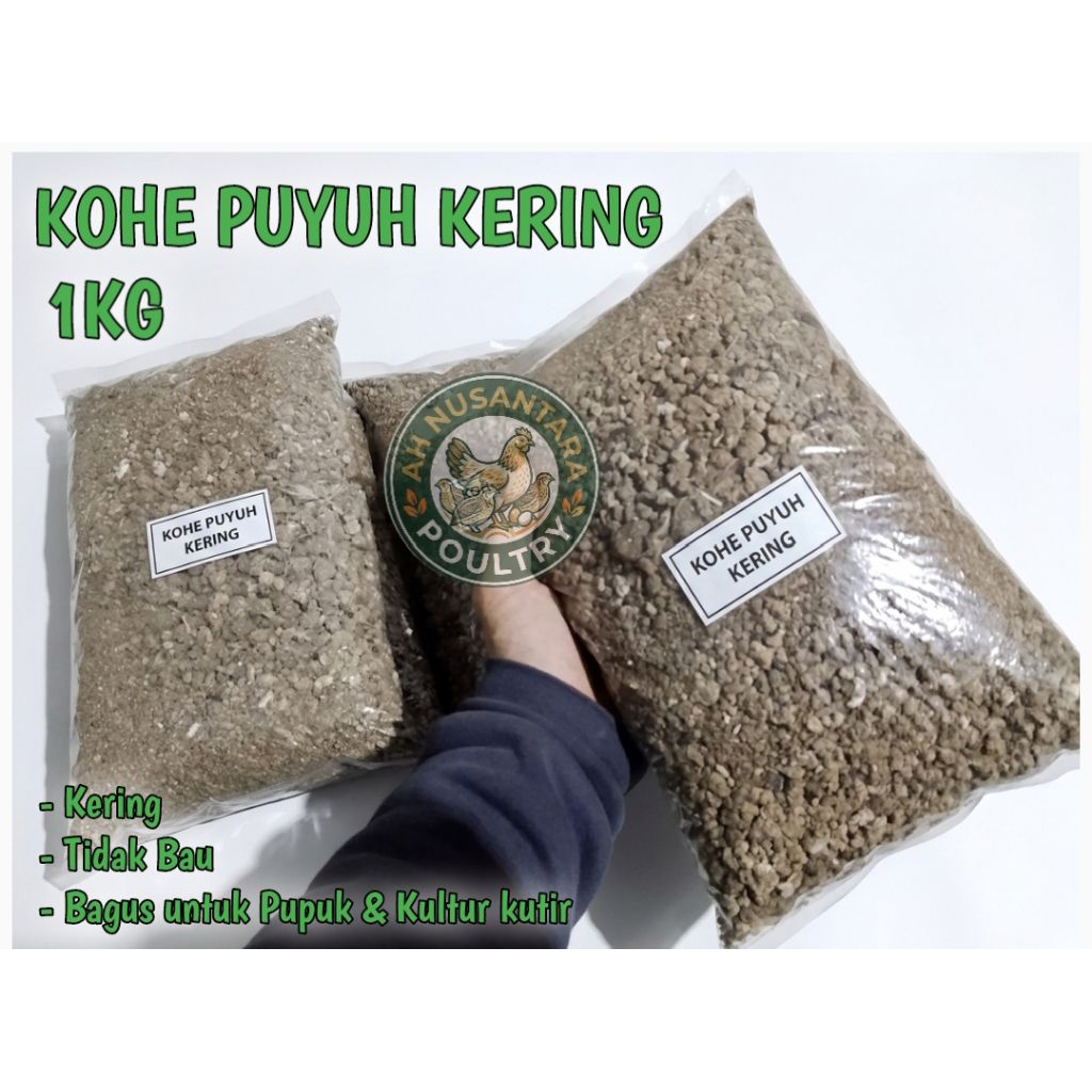 KOHE PUYUH KERING KEMASAN 1KG BERSIH & TIDAK BAU