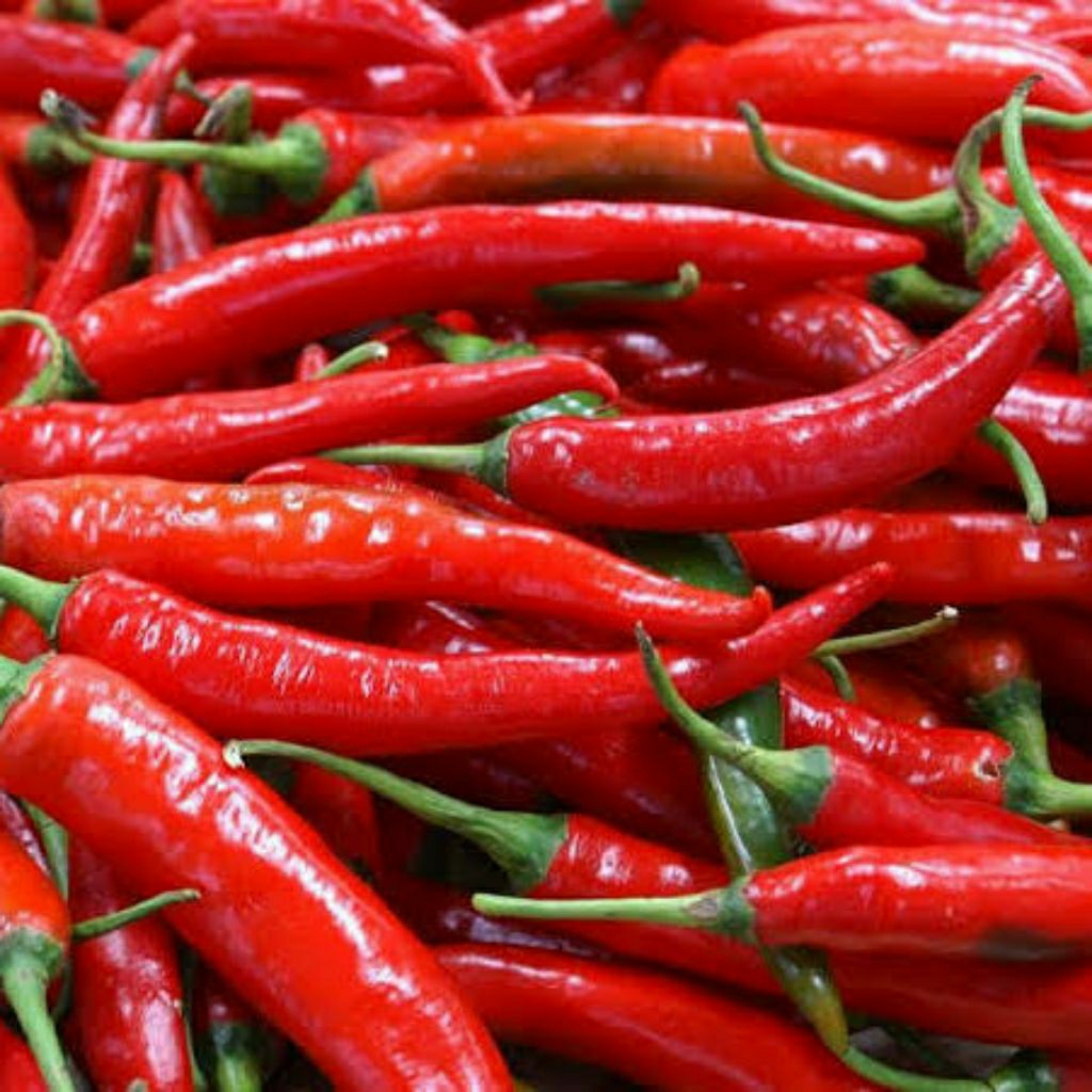 cabe merah besar(TW) segar/fresh 1kg-cabe rawit merah segar fresh/segar berkualitas 1kg