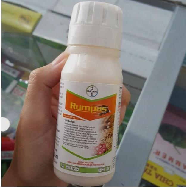 Herbisida Rumpas selektif