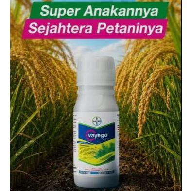 Insektisida Vayego 200 SC