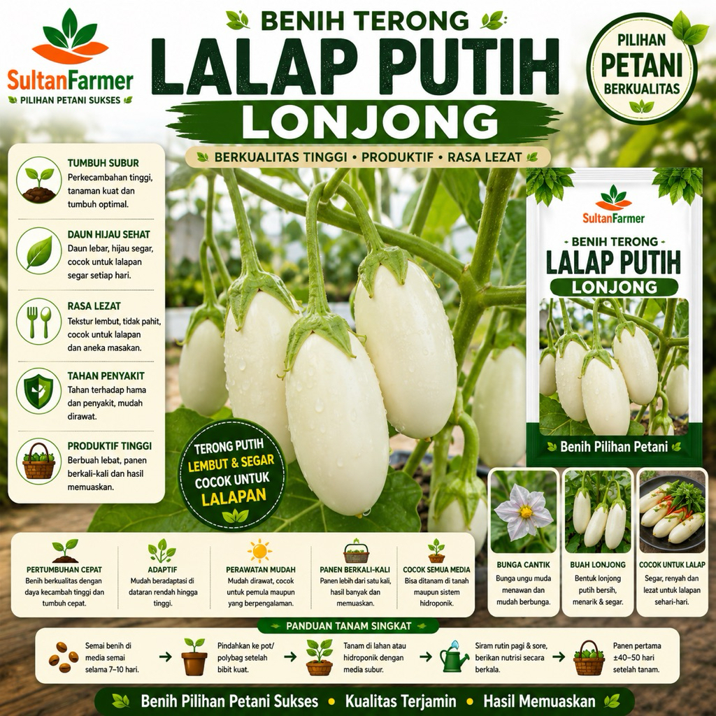 25 BIJI TERONG LALAP PUTIH LONJONG