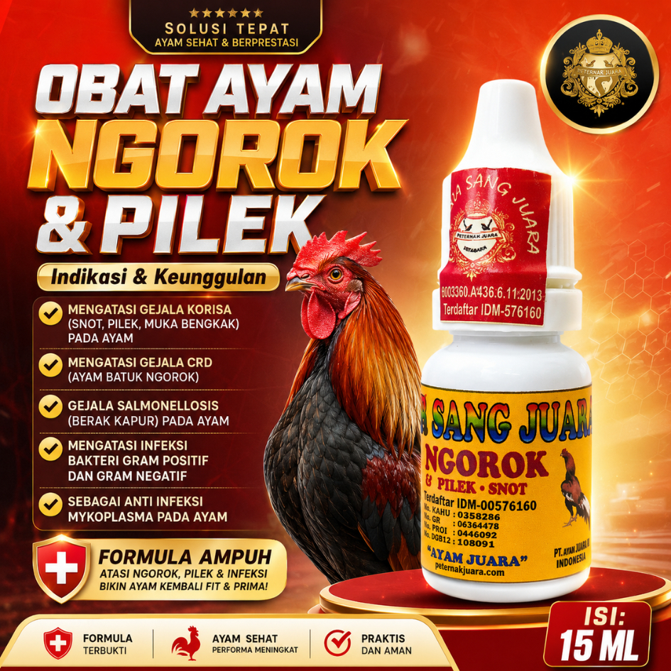 OBAT AYAM NGOROK DAN PILEK OBAT NGOROK AYAM BANGKOK AMPUH MENGATASI AYAM NGOROK DAN PILEK
