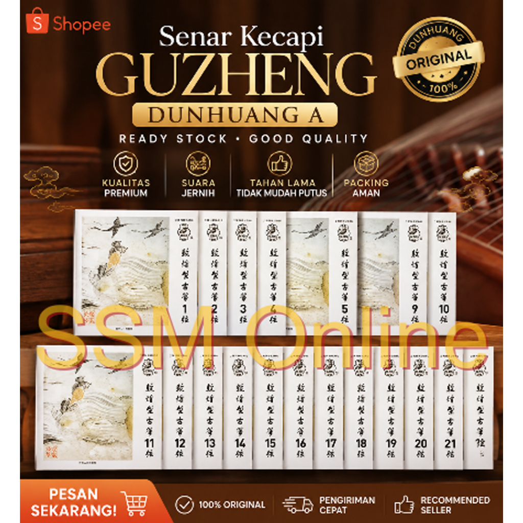 Senar Kecapi Guzheng 1 Set