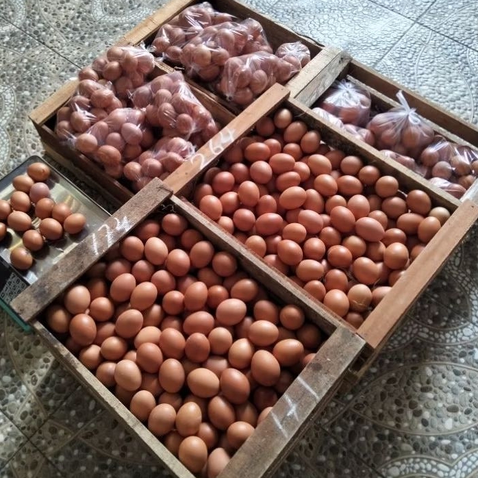 Telor 1kg Fresh PURBALINGGA -KLIK UMMUYUMNA.ID -INSTANT