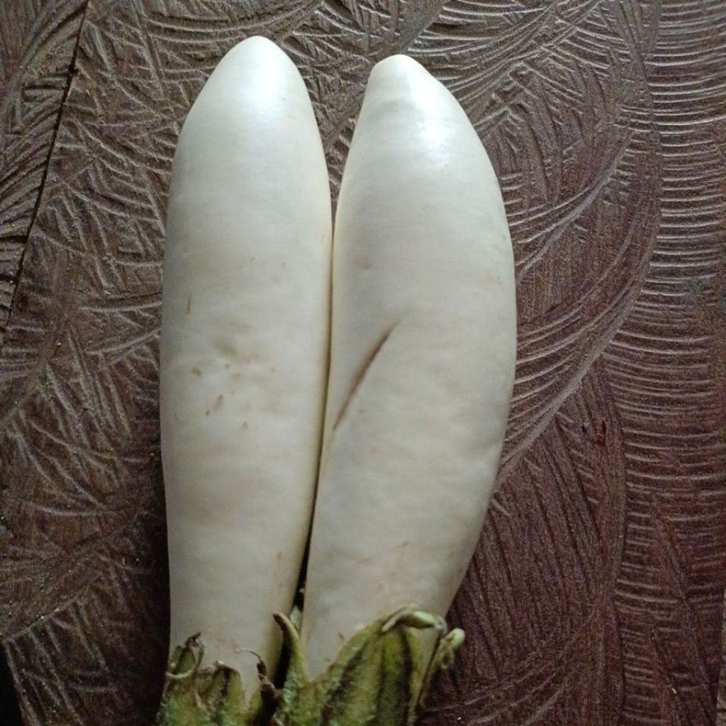 terong putih