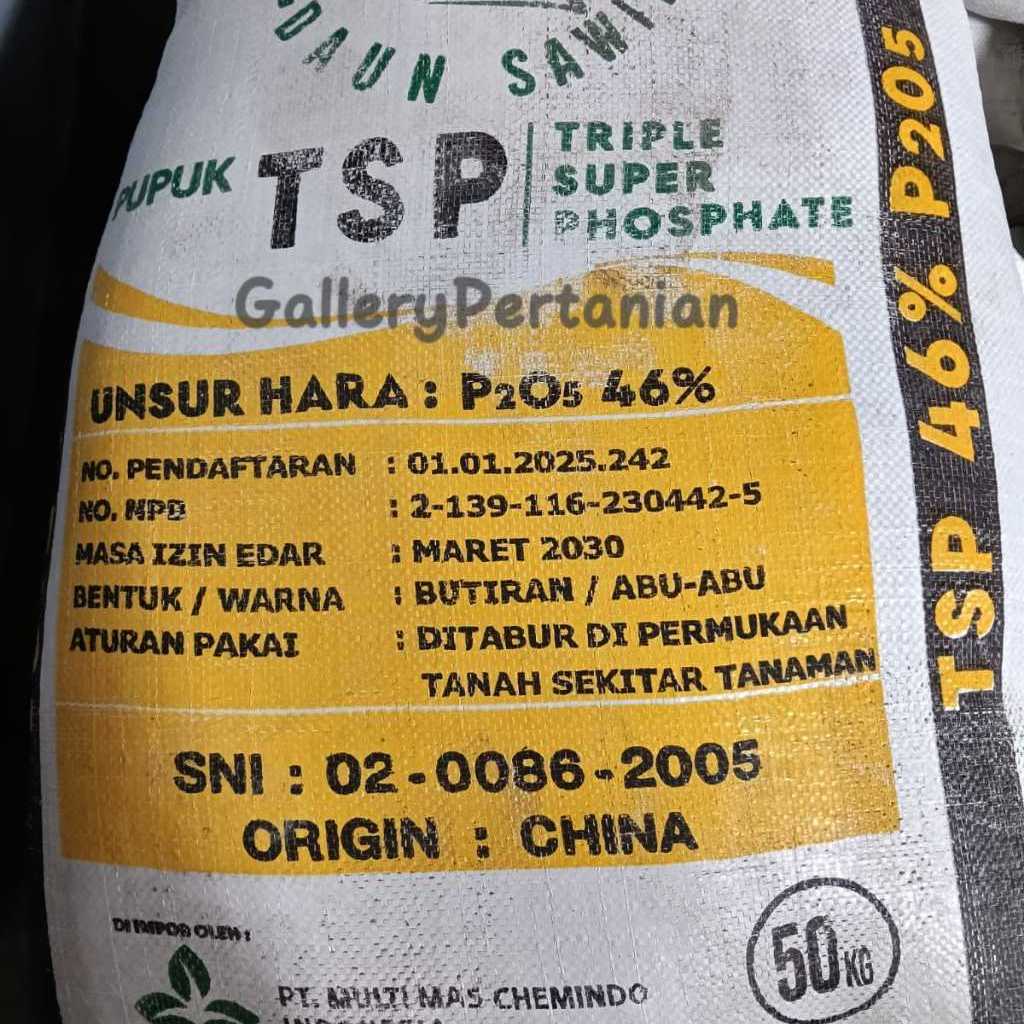 PUPUK TSP 50KG