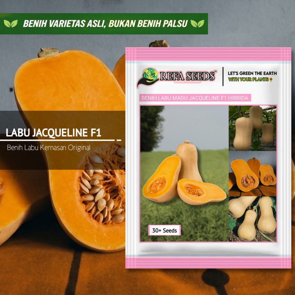 1 Pak 30 Biji Benih Labu Madu Jacqueline F1 Premium Original | Labu Madu | Mudah Panen | Benih Fresh